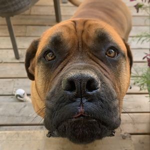 Meet your Posher, Derya